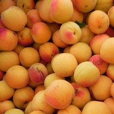 Organic Apricots
