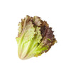 Organic Red Leaf Lettuce