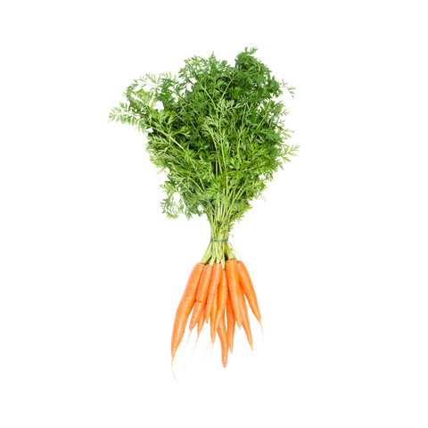 Organic Bunched Carrots With Greens 