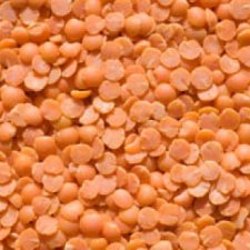 Organic Dried Red Lentils
