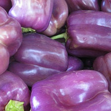 Peppers, Organic Purple Bell