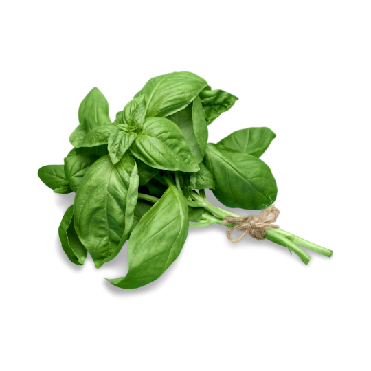 Organic Fresh Basil