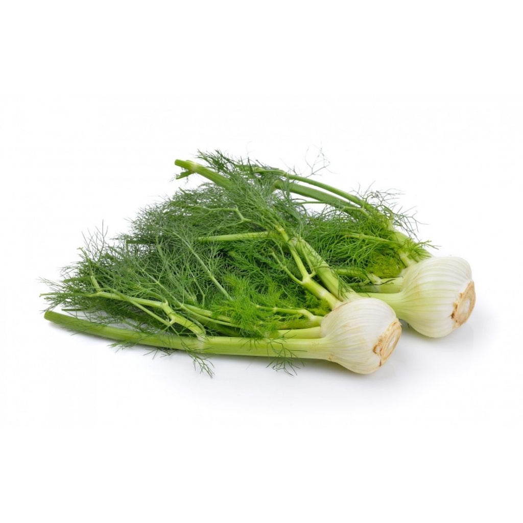 Fennel – Boxed Greens