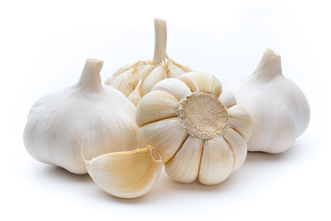 Organic Fresh Jumbo Garlic