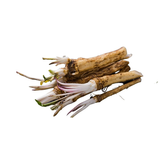 Horseradish Root, Organic