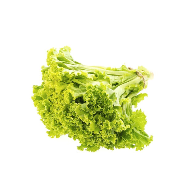 Organic Green Leaf Lettuce