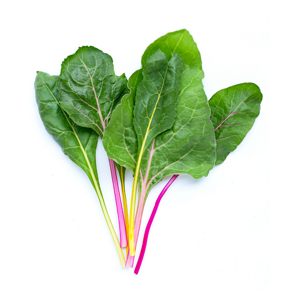 Organic Rainbow Chard